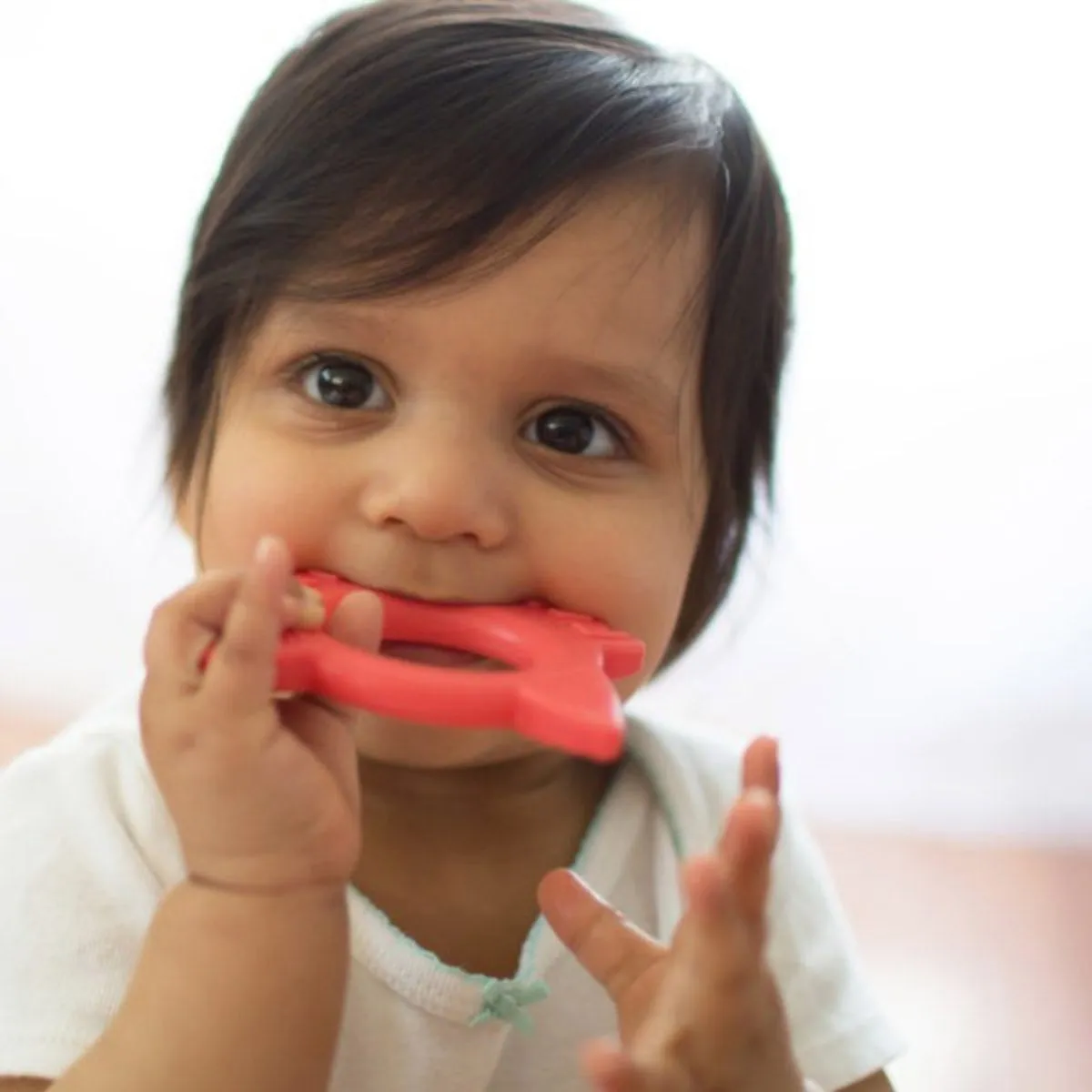 Dr Browns Flexees Friends Teether