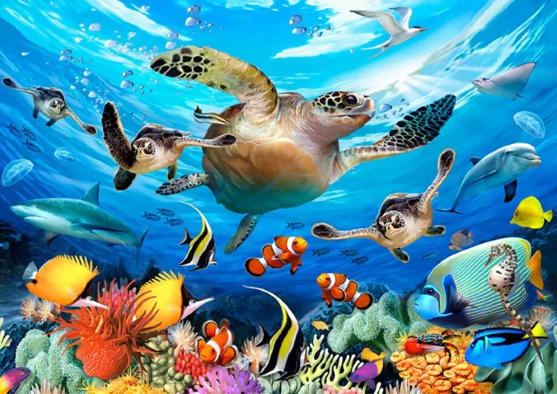 Ocean Life L